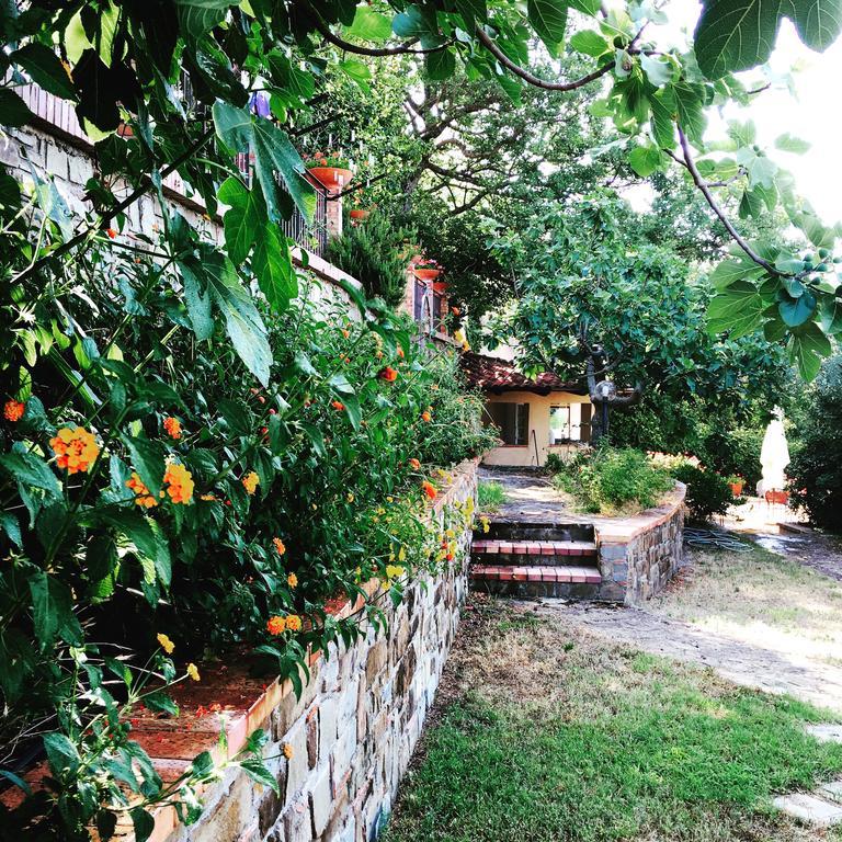 Bed and Breakfast Casale Degli Ulivi Prestige Altavilla Silentina Екстер'єр фото