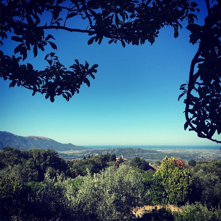 Bed and Breakfast Casale Degli Ulivi Prestige Altavilla Silentina Екстер'єр фото